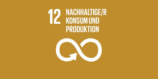 Die Agenda 2030 - Chance, Risiko oder Kopf in den Sand?